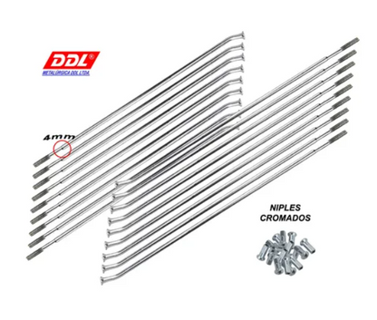 2 Jogo Raios Para Roda Dianteira Freio Disco + Traseira Titan 125 Titan 150 Titan 160 Fan 150 Fan 160