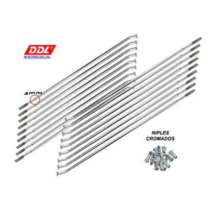 Jogo Raios Dianteiro DDL 4mm Cromado Xt 660 Freio a Disco 4MM