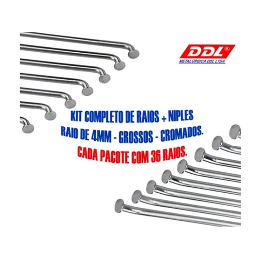 Jogo Raios Traseiro DDL 4mm Cromado Xt 600 Freio a Disco 4MM